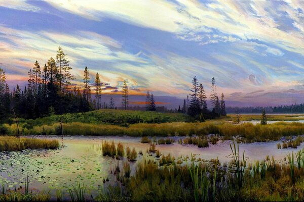 Pond forest beautiful sky