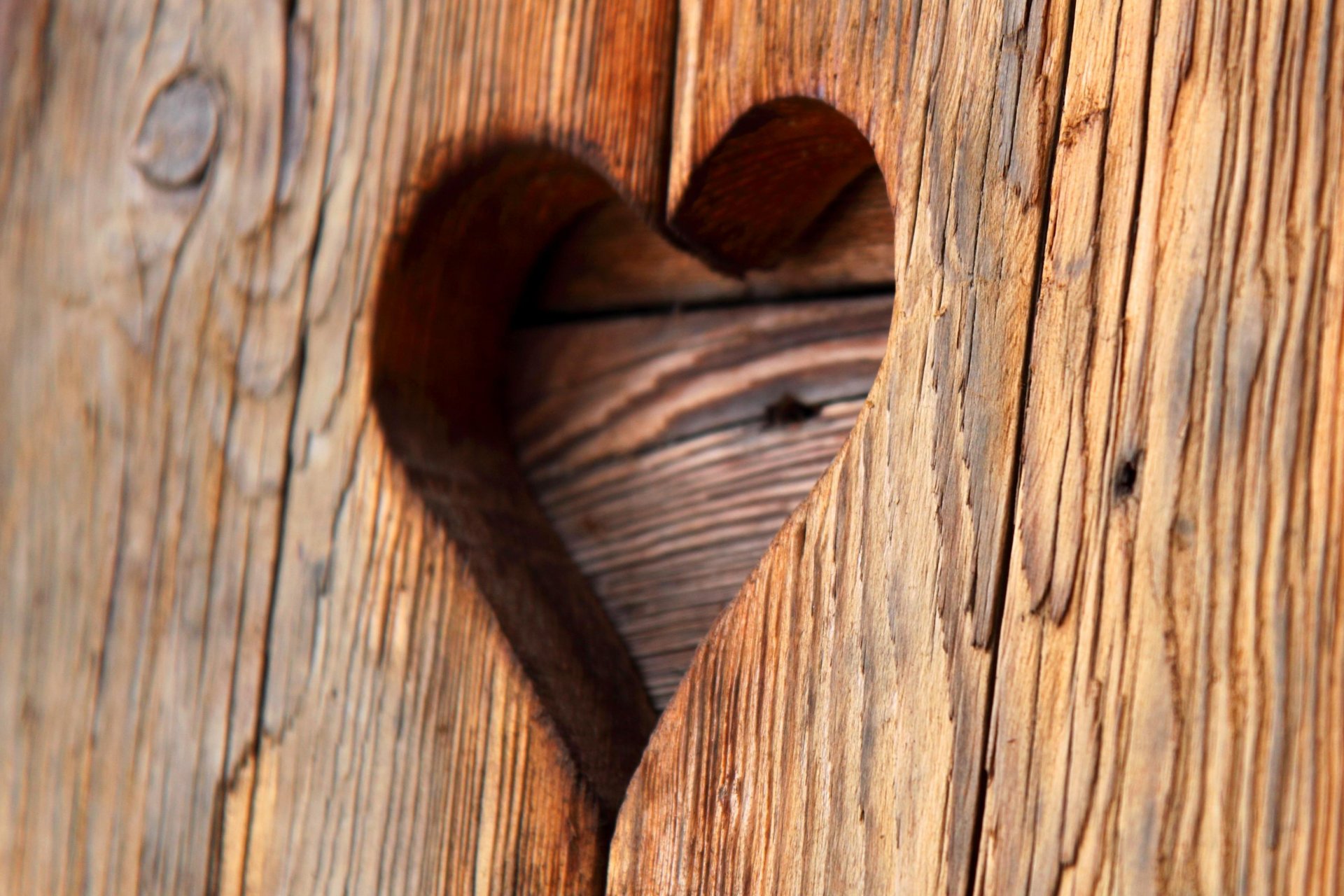 love heart