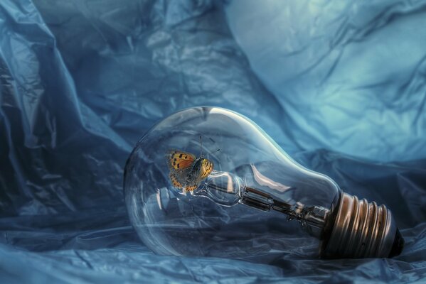 Beautiful butterfly inside the lamp on a blue background