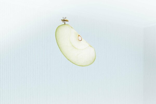 A bee on a slice of green apple