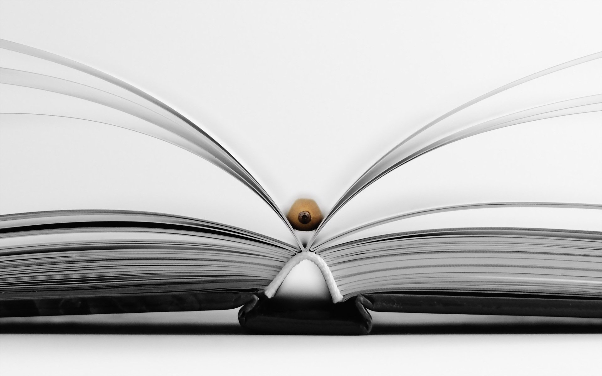 book pencil form