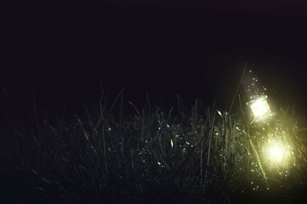 The bottle shines at night in the grass like a lantern