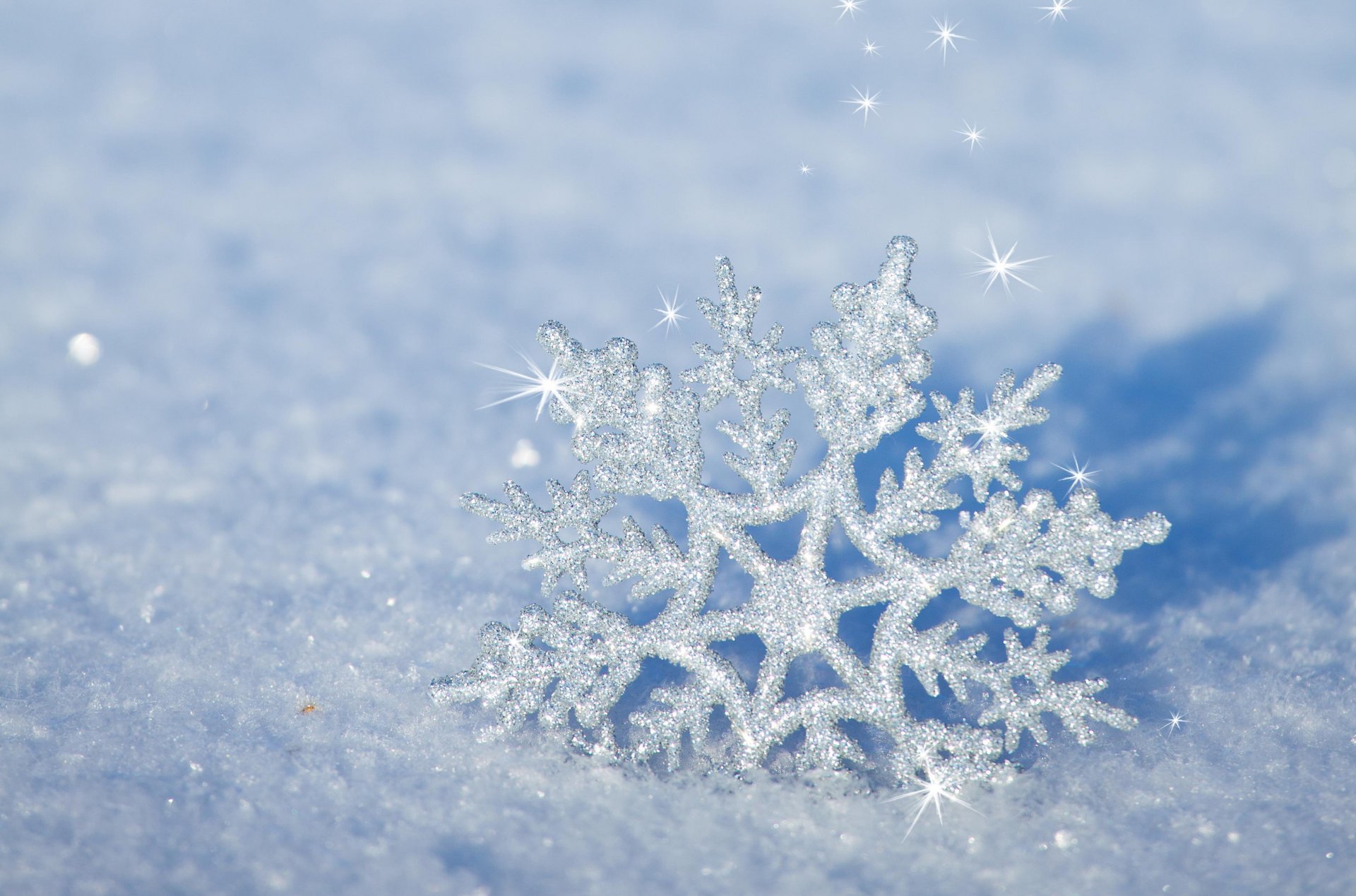 nature snow winter new year christmas merry christma