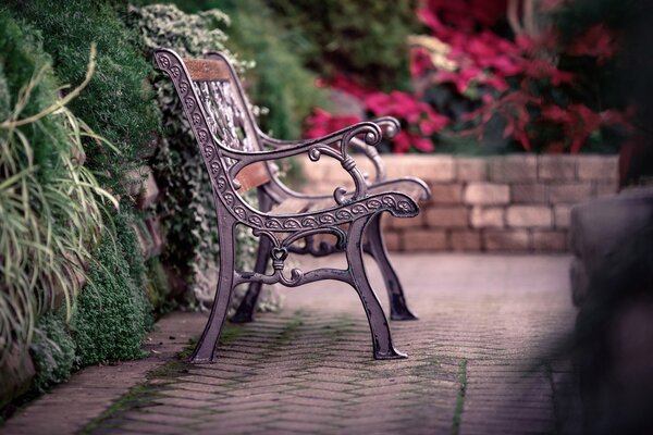 Stop and sit down on a bench and take a look at nature