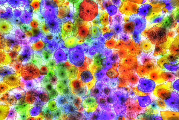 Image under a microscope, microcosm, amoeba