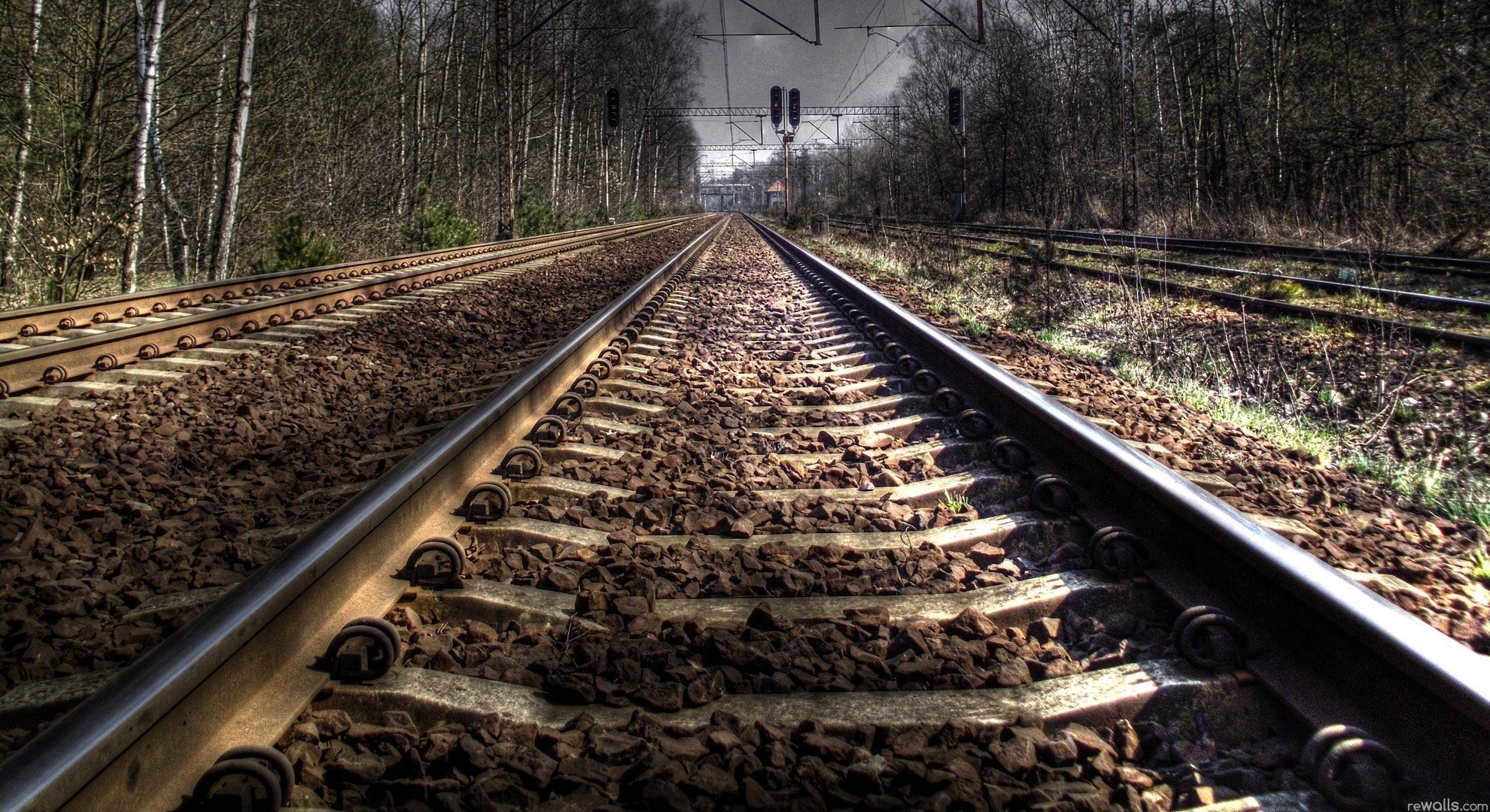 rails forest sky