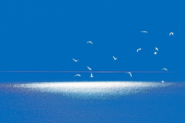 Blue and white landscape with flying birds