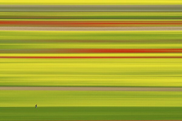 Man field color green yellow