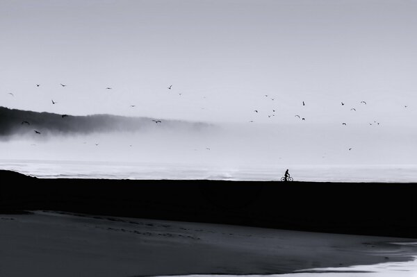A gloomy photo with a man by the sea on a bicycle