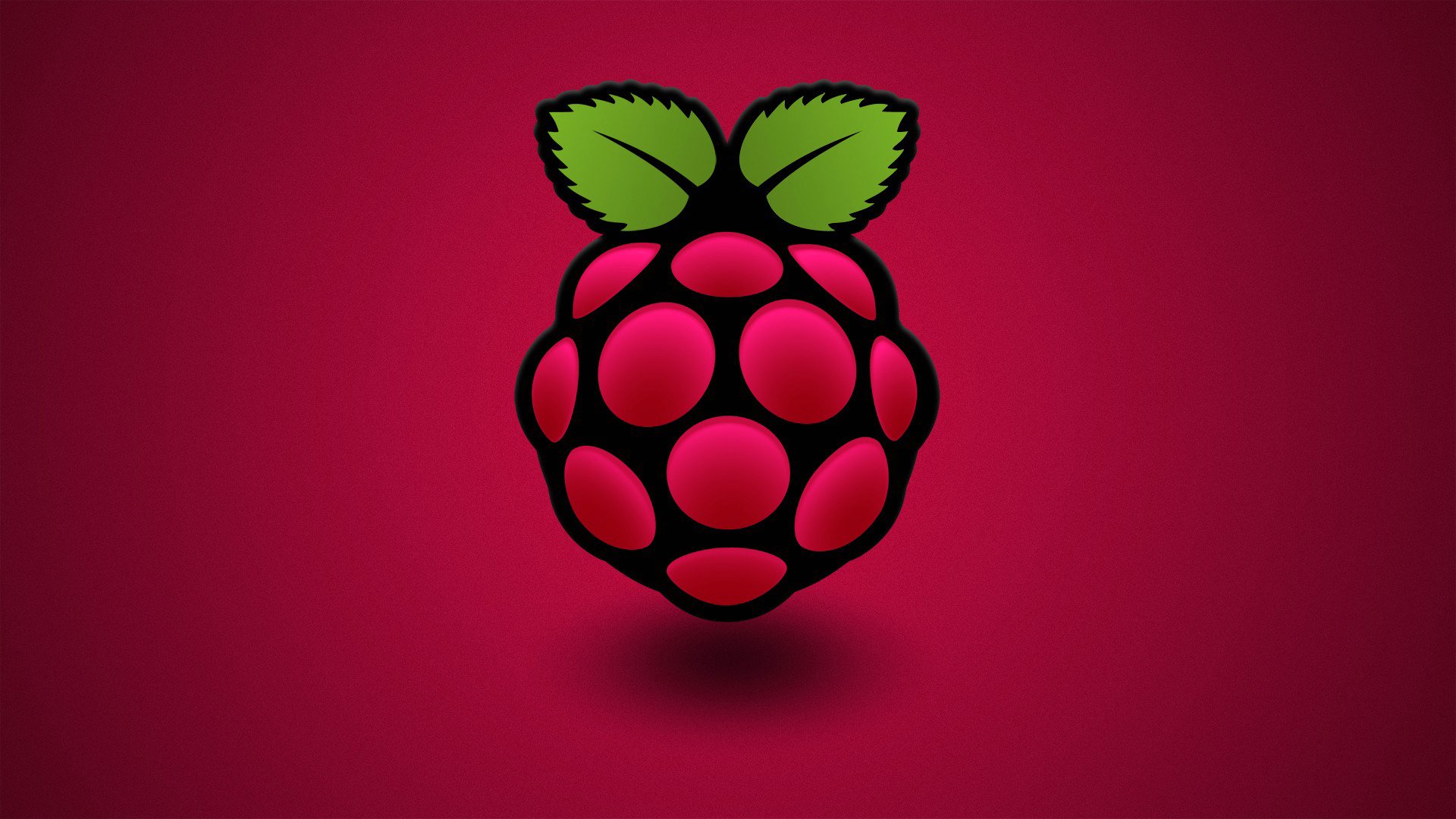 berry raspberry leaf flowers computer raspberry pi