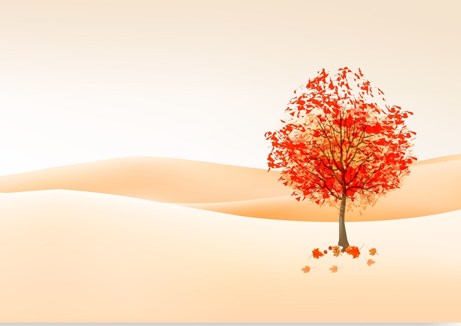 picture tree leaves autumn
