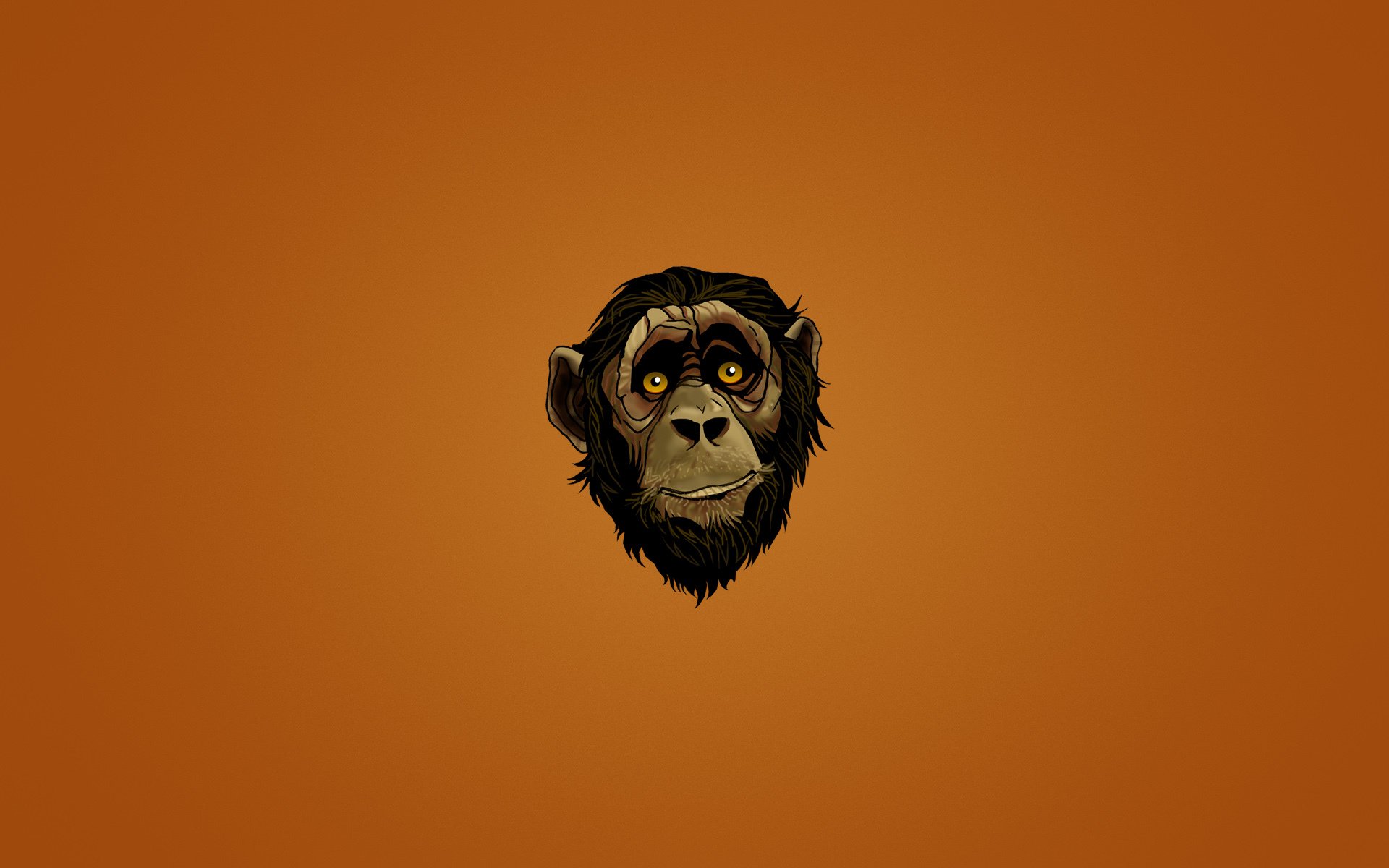 monkey muzzle head face look dark background minimalism