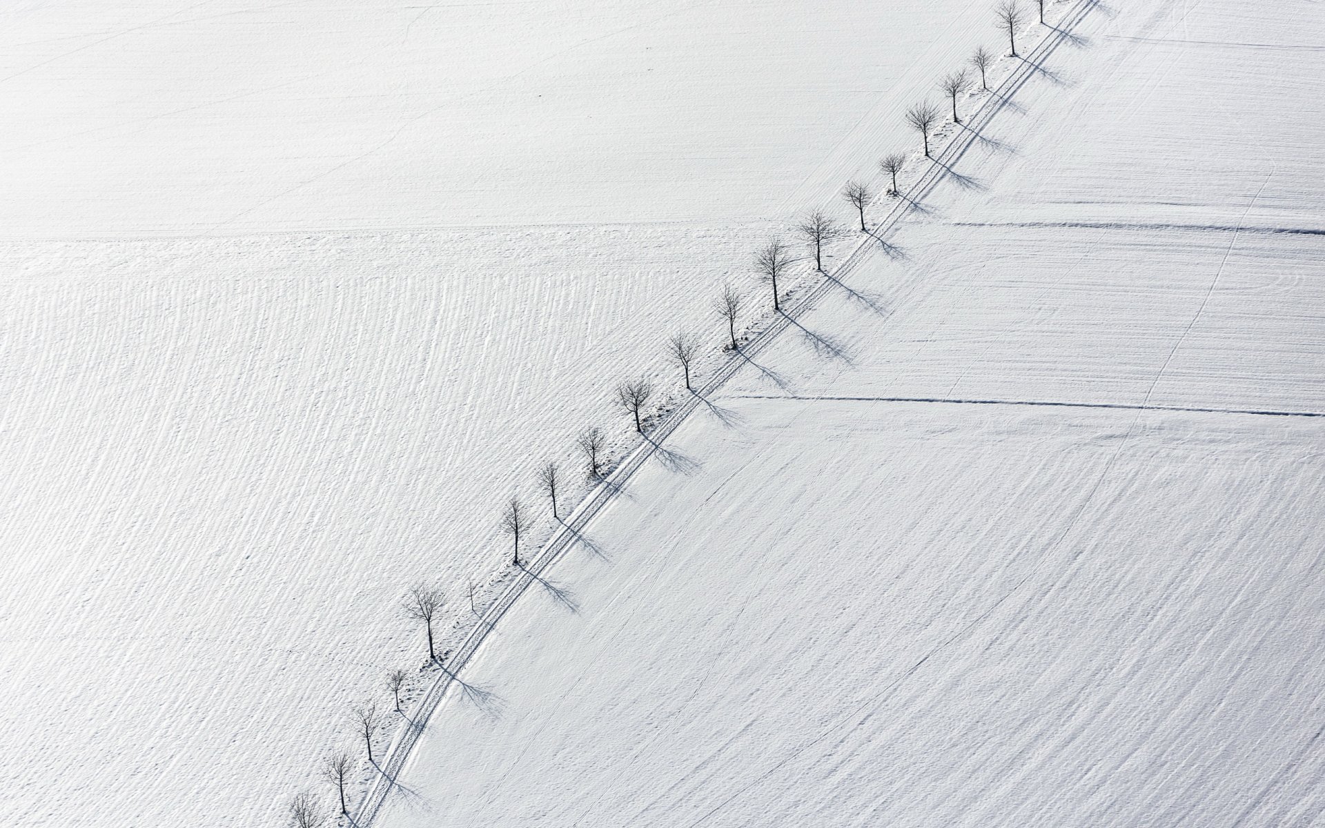 the field tree snow landscape minimalism