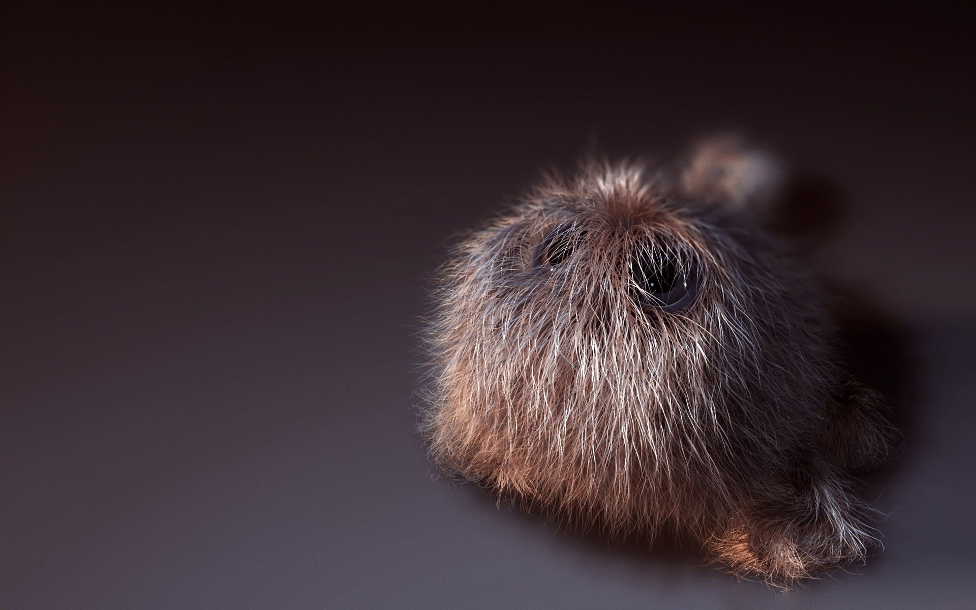 haggy fluffy small