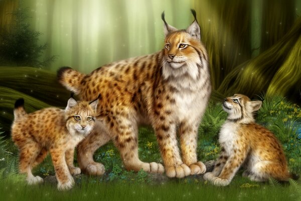 Lynx with kittens in the forest