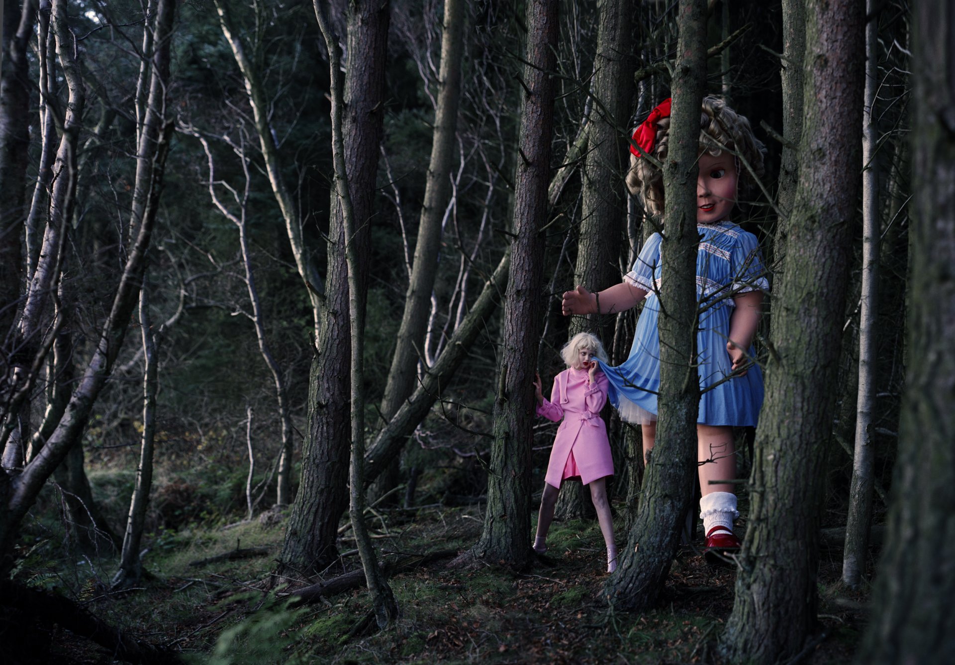 lindsey wixson forest doll