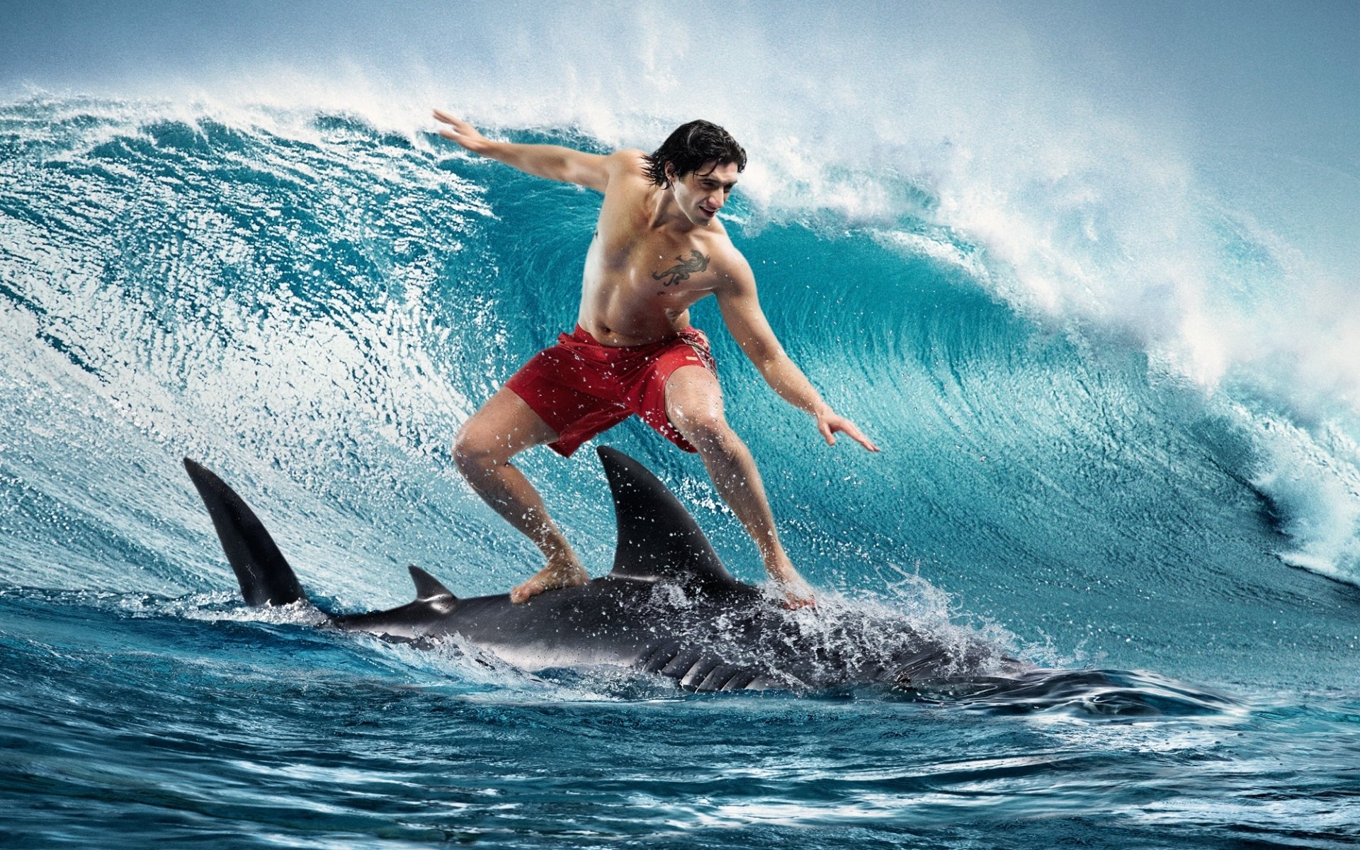 guy shark surfing wave