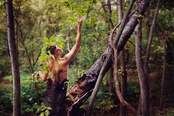 The guy portrays a tree in the forest