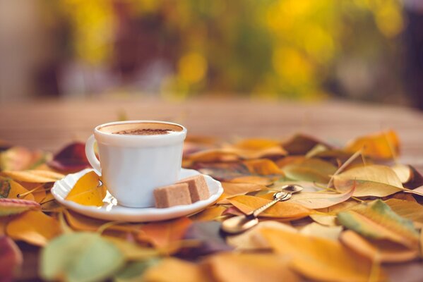 A white cup with coffee and sugar on a saucer against the background of autumn leaves