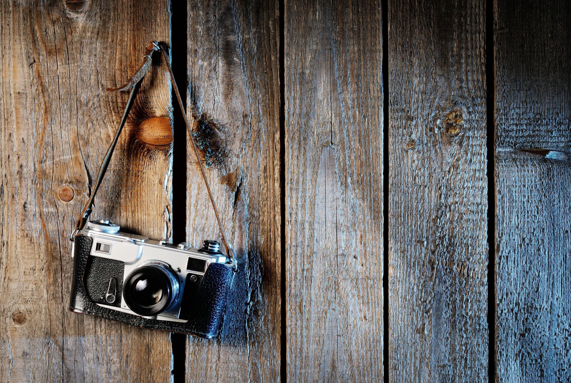 mood a camera the camera board tree background wallpaper widescreen full screen hd wallpapers fullscreen