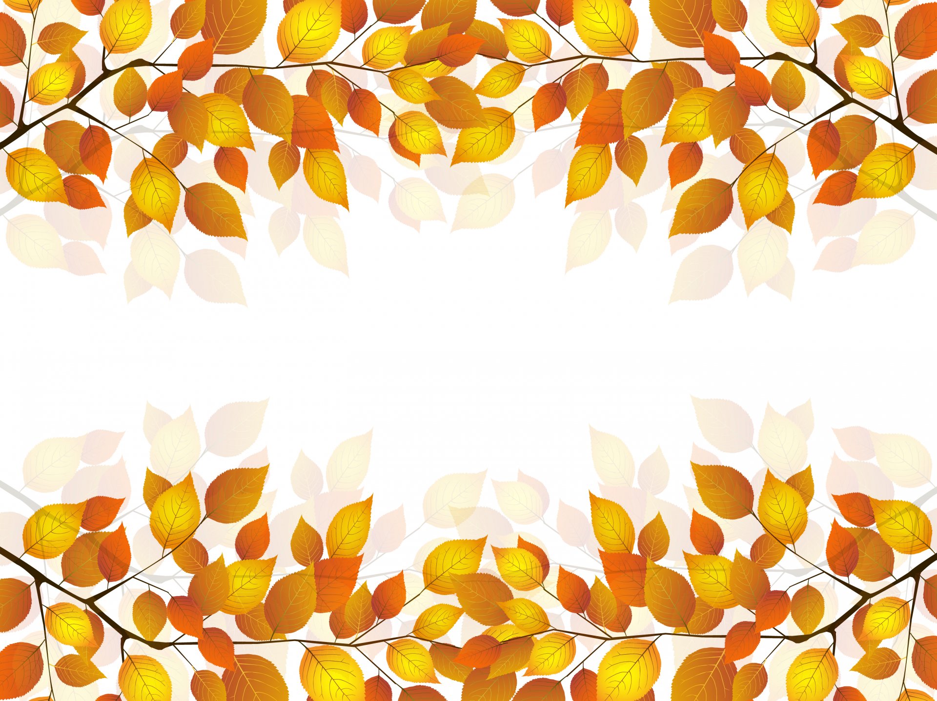 branch leaves autumn white background