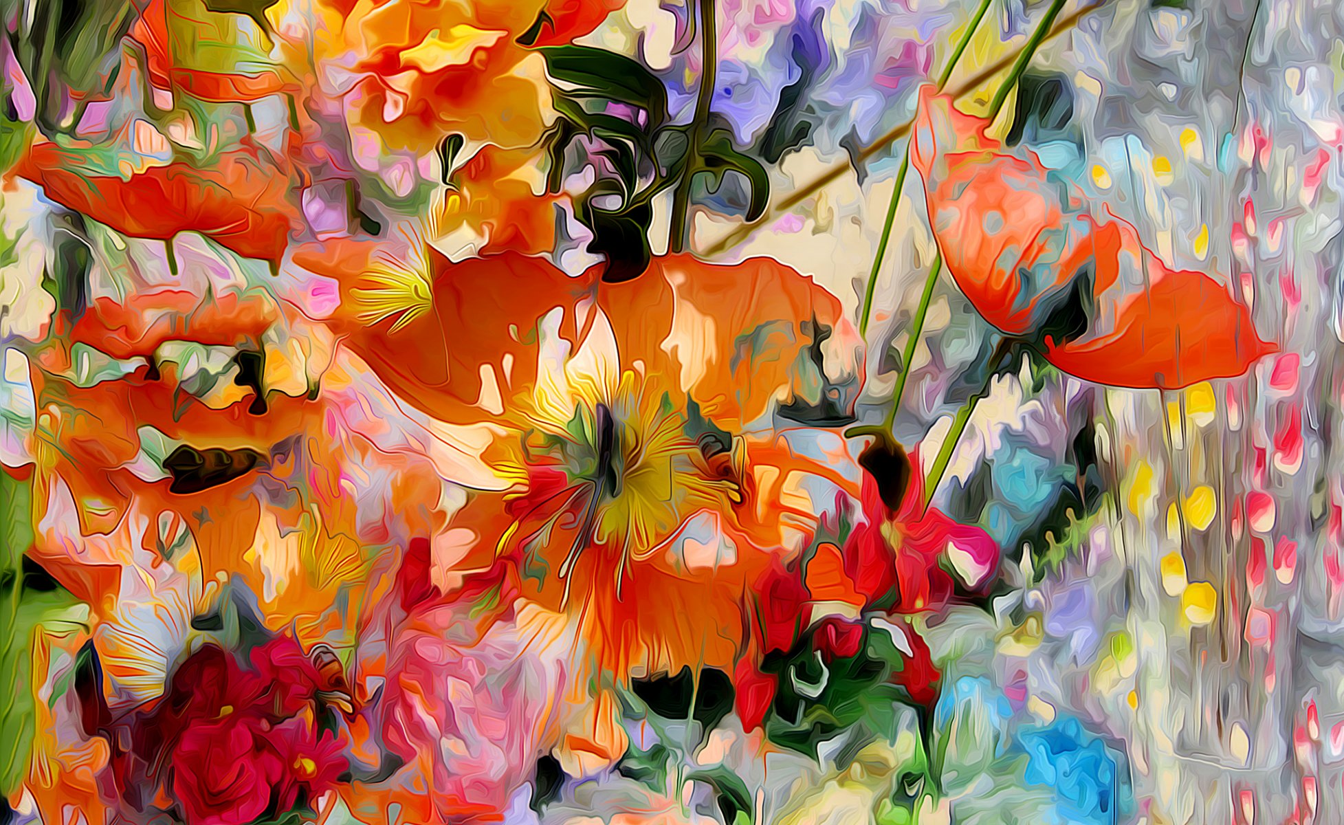 flower poppy petals meadow supplie
