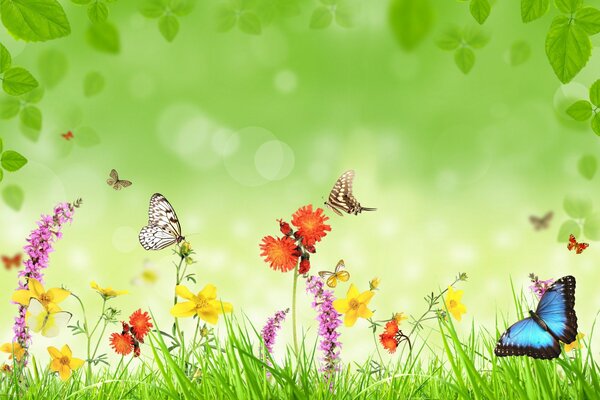 Meadow with flowers, butterflies and green grass