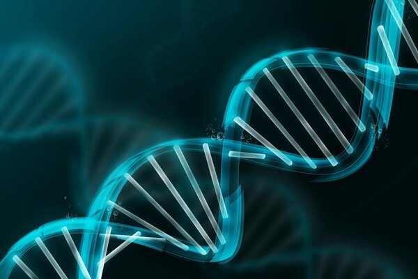 Neon pattern. The dna folmule model