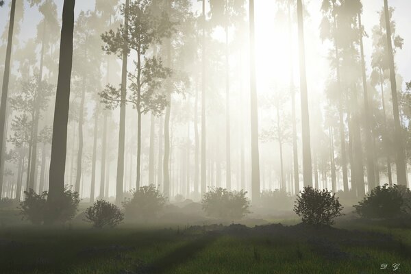 The sun breaks through the night fog
