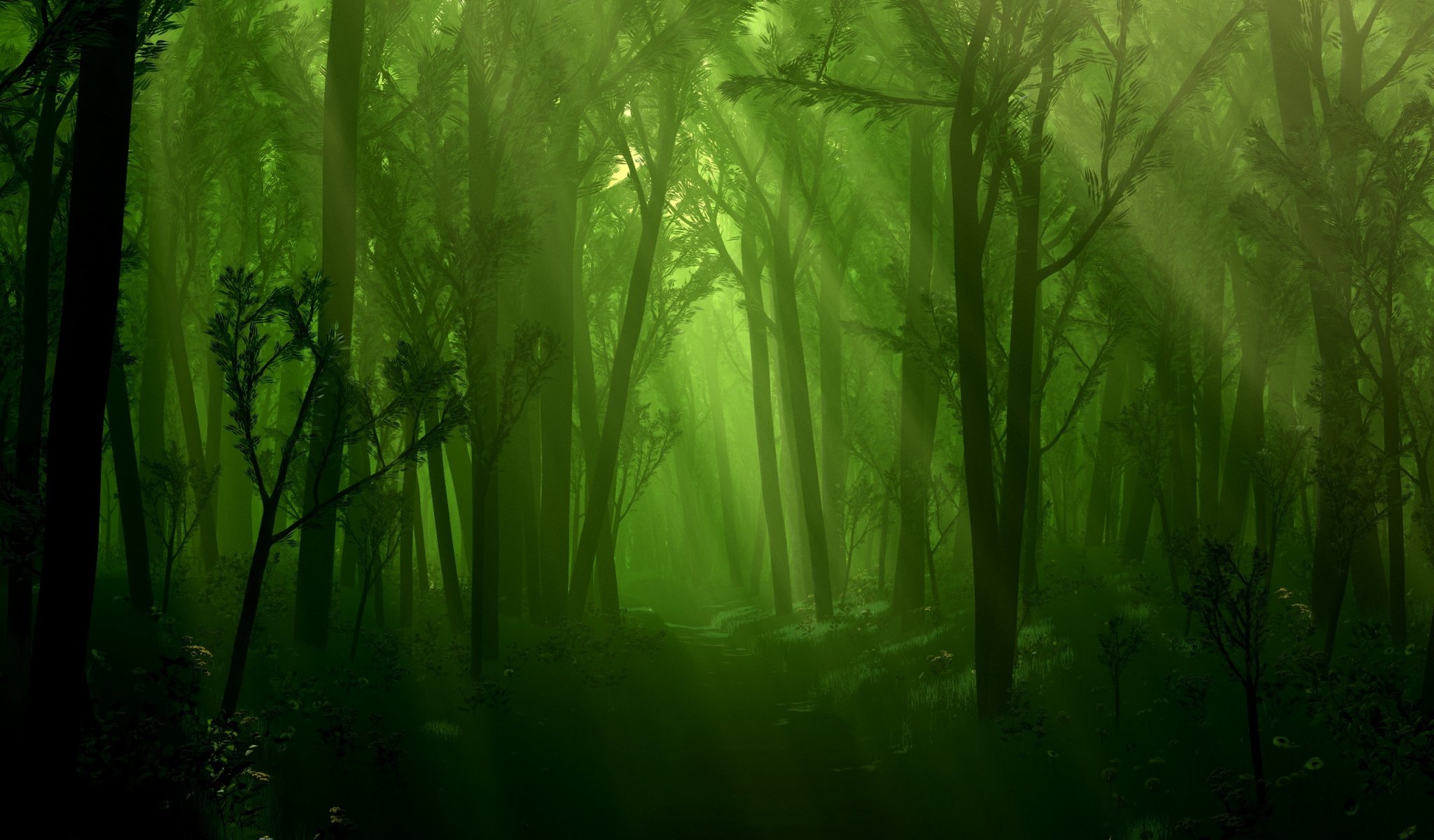 forest creek light tree