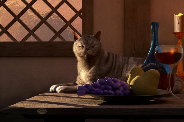 Still life of a cat on the table