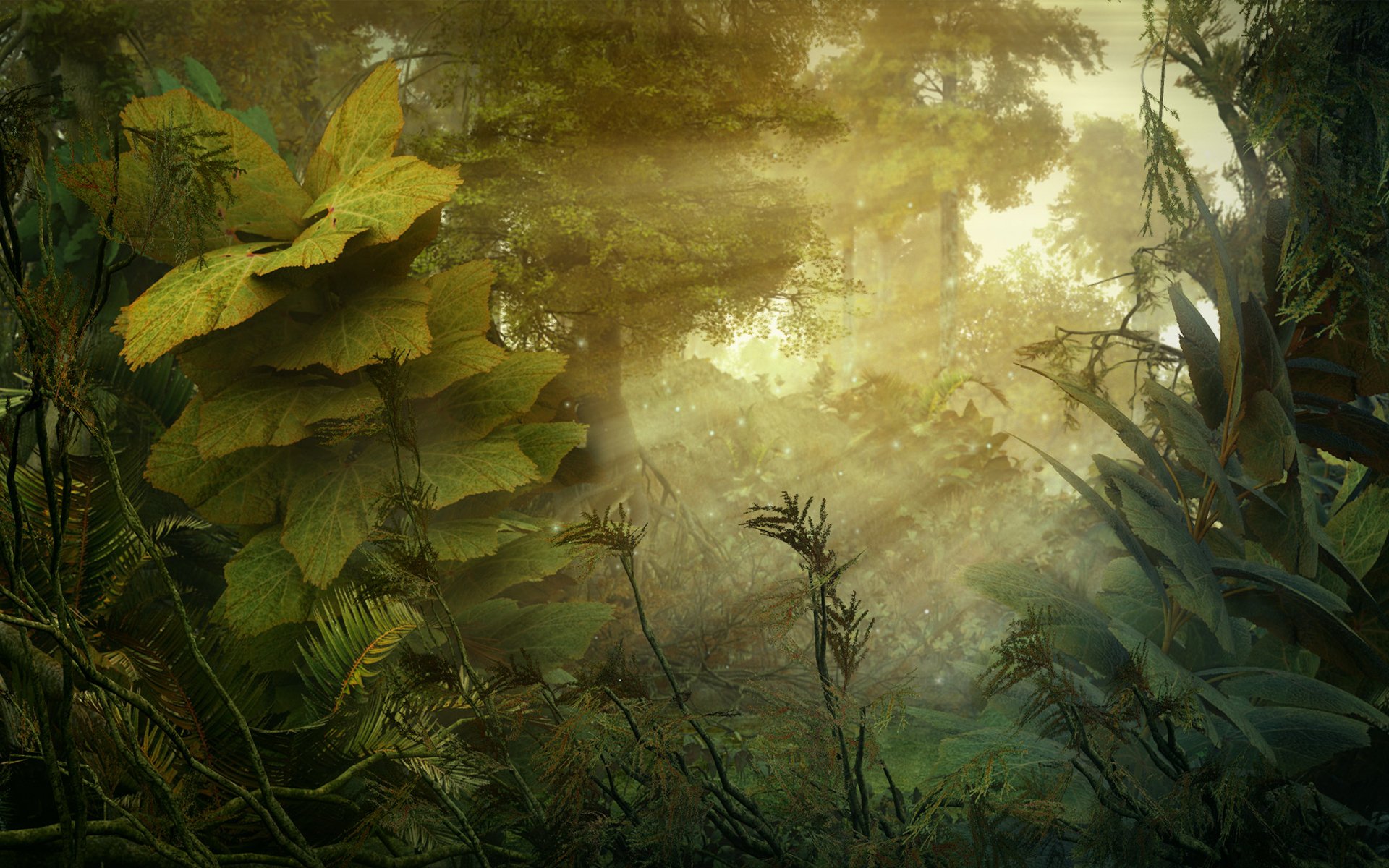 jungle forest plants nature