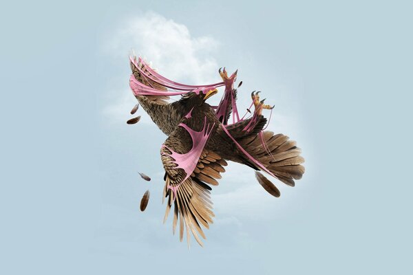 The eagle in the sky got tangled in gum