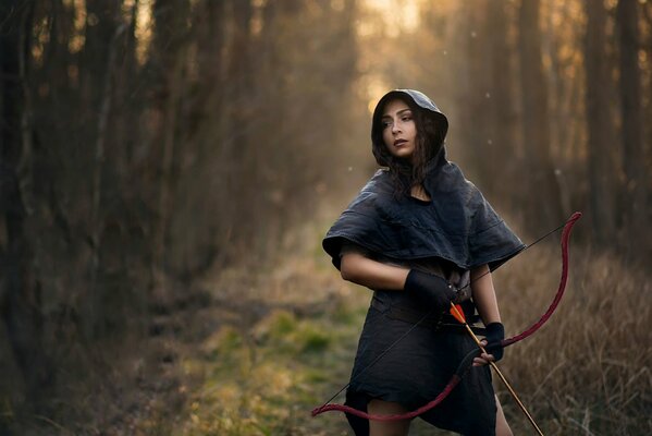 What kind of forest are elves like