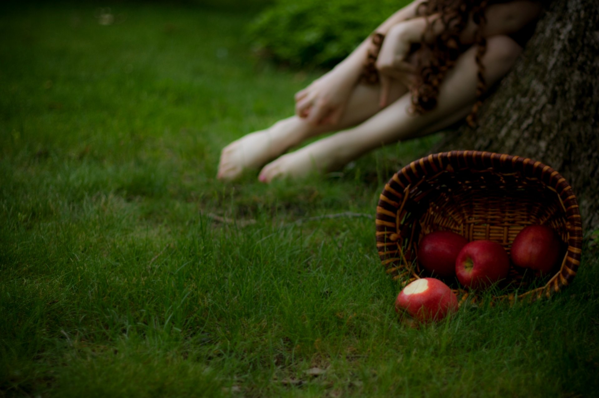 photo close up grass shopping apples background blur girl