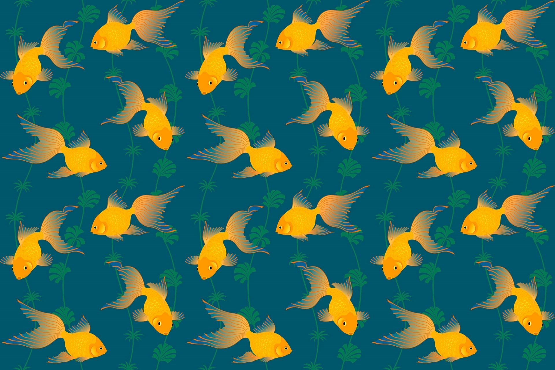 goldfish algae tail pattern