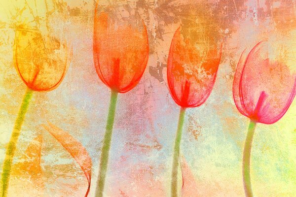 Texture in the form of a tulip mood color