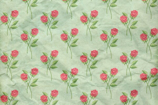 Raspberry green background wallpaper