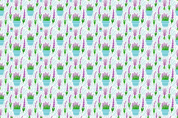 Painted lavender flowers in flowerpots