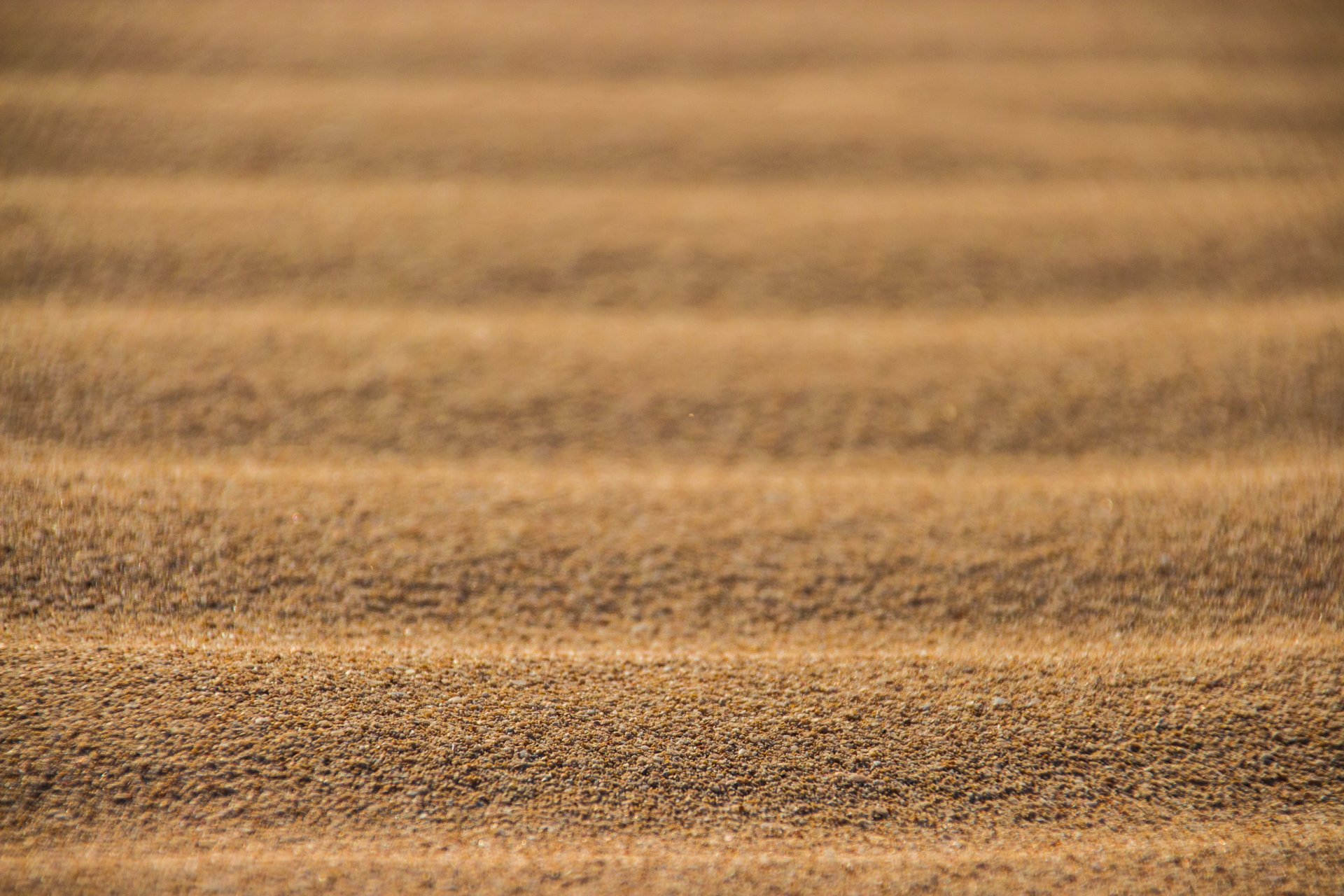 desert sand texture