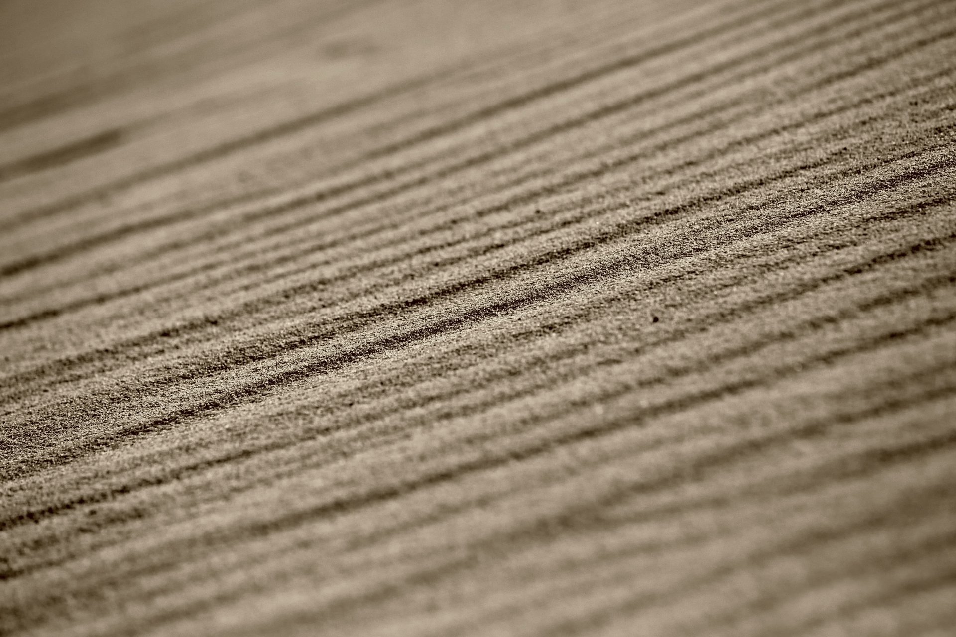 and line close up bokeh