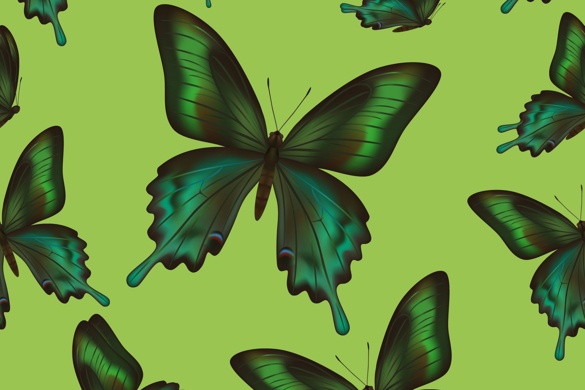 textures butterfly background texture butterflie
