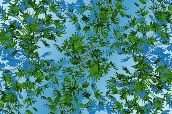 Green leaves in blue water