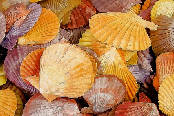 Drawing on seashells and shells