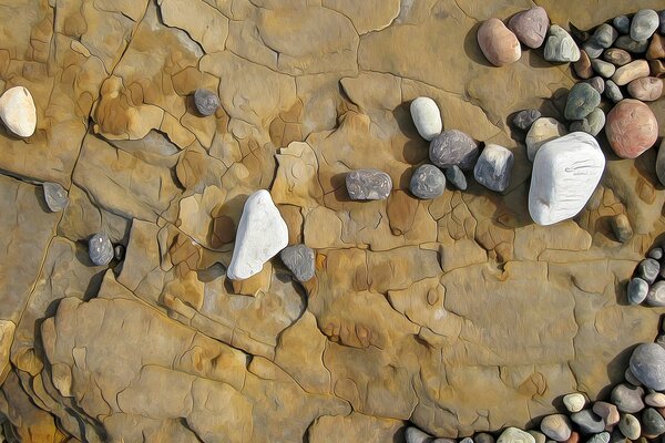 Dry sea rocks on a rock