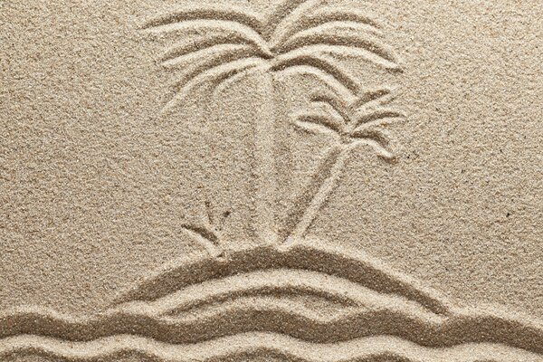 Palm trees and the sea. Drawing in the sand