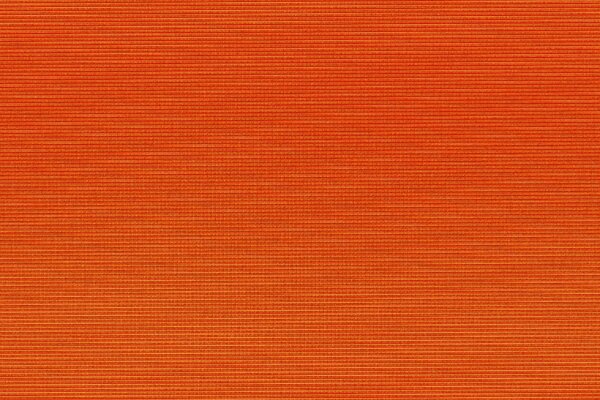 Orange background. Bright color