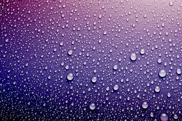 Water drops on a purple background