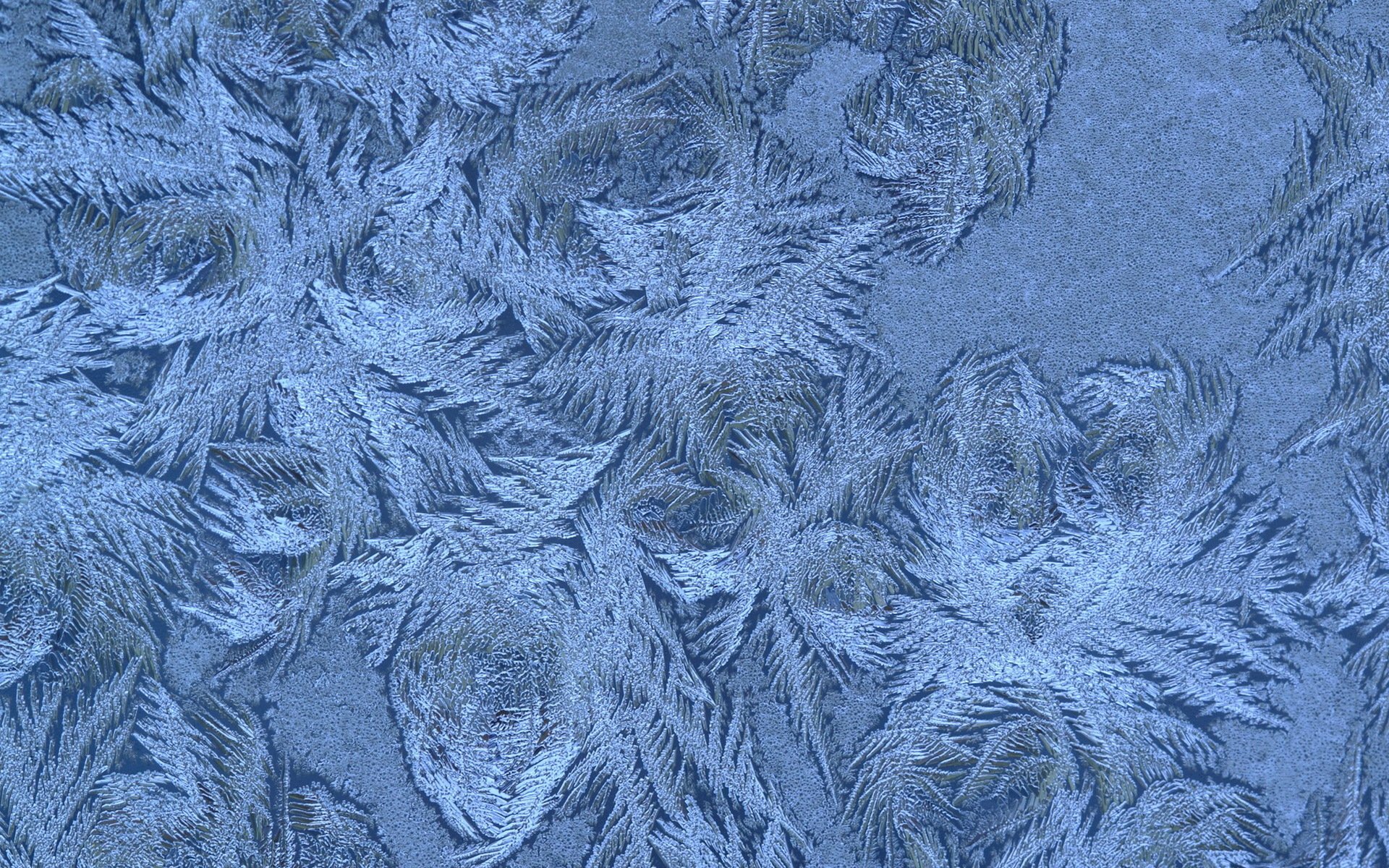 winter snowflakes pattern