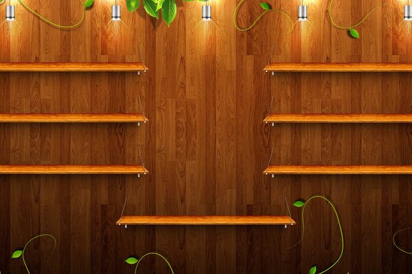Shelves made of wood on a wooden wall with green sprouts